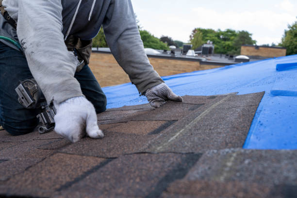 Roof Installation Near Me in Swanton, OH