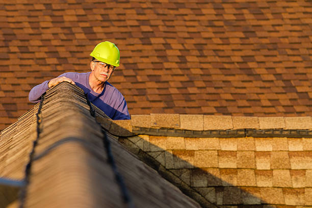 Best Slate Roofing Contractor  in Swanton, OH